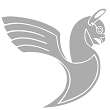 هواپیمایی هما 